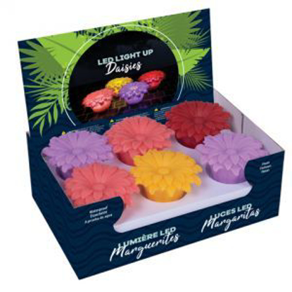 Picture of Light Up Flowers 24/pk